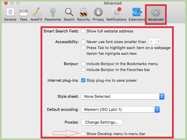 Navigate to Safari > Preferences > Advanced
